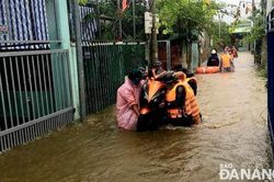 Điều tra, đánh giá và báo cáo về các vùng đất ngập nước