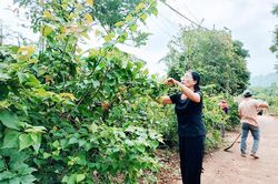 Nữ trưởng thôn được lòng dân