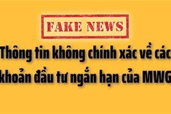 Thế Giới Di Động giải thích về khoản đầu tư trái phiếu doanh nghiệp