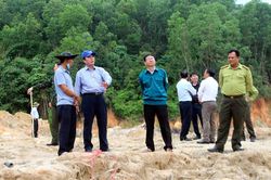 Kiểm tra công tác quản lý bảo vệ rừng và khoáng sản tại Bảo Lộc, Di Linh