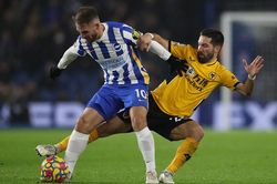 Soi kèo nhà cái Wolves vs Brighton. Nhận định, dự đoán bóng đá Ngoại hạng Anh (22h00, 5/11)