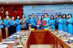 Phối hợp bảo vệ quyền, lợi ích của nữ công nhân, viên chức, người lao động