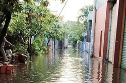 Tắc cống gây ngập nước nhiều đường, hẻm