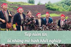 Tiếp niềm tin từ những mô hình khởi nghiệp