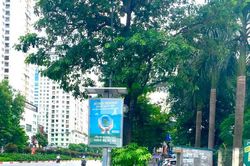 Hà Nội: Văn hóa bỏ rác vào thùng bị lãng quên đang dần trở lại