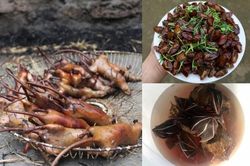3 loài hôi hám ai cũng 'né' thành đặc sản hút đại gia