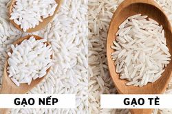 Cũng chứa tinh bột như gạo tẻ, tại sao gạo nếp lại dẻo hơn? Ăn loại nào béo hơn?