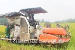Tăng hiệu quả kinh tế từ cơ giới hóa nông nghiệp