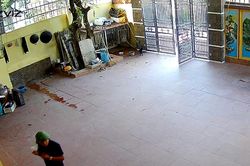 Bắc Ninh: Tên trộm thản nhiên mở cổng bỏ khẩu trang trước khi vào nhà nạn nhân