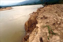 Quảng Nam: Thấp thỏm lo mất đất vì bờ sông Côn sạt lở nghiêm trọng