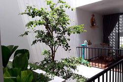 Nhà phố rợp cây xanh như khu rừng nhiệt đới, tạo ra cuộc sống nhẹ nhõm và mát mẻ