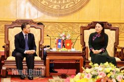 Đoàn đại biểu Đại sứ quán Lào thăm, làm việc tại Ninh Bình