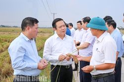 Bàn giải pháp tháo gỡ khó khăn trong xây dựng nông thôn mới ở huyện Kim Sơn