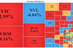 Cổ phiếu bất động sản bị bán tháo, VN-Index rơi về dưới ngưỡng 975 điểm