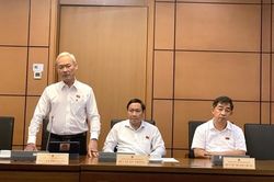 Dẫn vụ Việt Á, Nhật Cường, AIC... đại biểu đề nghị sửa luật