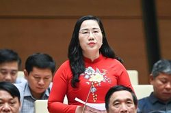 Năm chiêu trò phổ biến lách luật trong đấu thầu