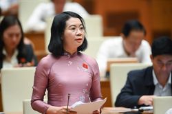 Cần đảm bảo thị trường chứng khoán phát triển lành mạnh, minh bạch