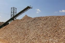 Bài 1: Doanh nghiệp ngành dăm gỗ 'kêu cứu' vì hoàn thuế VAT