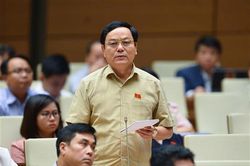 Đại biểu Quốc hội Hoàng Đức Thắng tranh luận, làm rõ thêm một số nội dung liên quan vụ án buôn lậu 'Gỗ trắc'