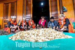 Người nối nghiệp cây thuốc họ La