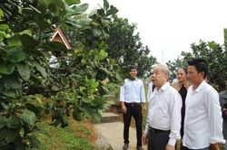 Chính trị - Xã hội Theo dòng thời sự Phát triển kinh tế vườn, đồi là động lực để Dương Hòa phát triển