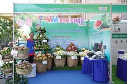 1.500 sản phẩm OCOP chất lượng cao, giá tốt nhất tới người tiêu dùng