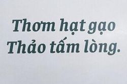 Công bố kết quả thi thiết kế logo nhãn hiệu chứng nhận và slogan sản phẩm gạo An Giang