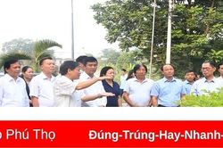 Đánh giá kết quả mô hình thử nghiệm chăm sóc kéo dài tuổi thọ cây Táu cổ
