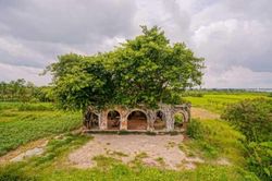 Vẻ cổ kính bí ẩn ở ngôi đình trăm tuổi 'hợp nhất' với cây bồ đề ở Tiền Giang