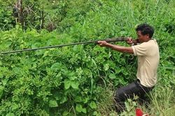Súng tự chế cướp cò khi đi săn làm 1 người tử vong