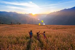 Mùa tam giác mạch đẹp mê hồn ở 'thảo nguyên Thụy Sĩ giữa lòng Hà Giang'
