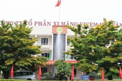 Khai sai thuế thu nhập, Xi măng Vicem Hải Vân bị phạt và truy thu hàng tỷ đồng