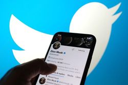 Twitter tạm dừng dịch vụ trả phí tick xanh
