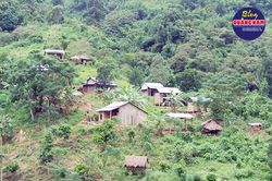 Hội ngộ trời ban