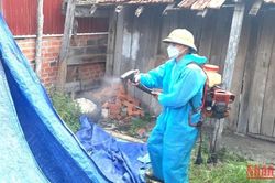 Đắk Lắk triển khai các biện pháp phòng, chống dịch cúm A/H5N1