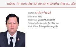 Phó Chánh án Bạc Liêu nhận hối lộ: Cần xem lại bản án phúc thẩm!