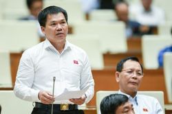 Đại biểu Quốc hội: 'Cứ nghĩ đến đất, giá đất, lạnh hết cả người'