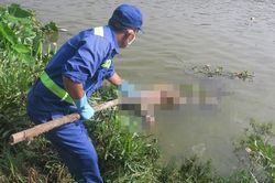 Điều tra vụ thi thể nữ giới phân hủy trên sông Sài Gòn