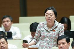 'Có nước nào đấu thầu khổ như chúng ta không?'