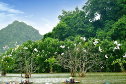 Vẻ đẹp hoang sơ độc đáo của Thung Nham