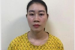 Hà Nội: Nữ chủ khu tắm khoáng nóng tổ chức môi giới mại dâm