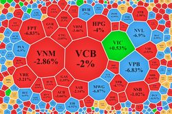 VN-Index thủng mốc 900, hơn 200 mã nằm sàn khi mở cửa