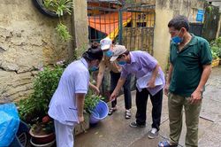 Nguy cơ dịch sốt xuất huyết bùng phát: Chủ động các biện pháp phòng bệnh