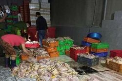 Kinh hoàng, thu mua gà thối để bán cho xưởng giò chả, chà bông