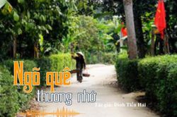 Tản văn hay: Ngõ quê thương nhớ