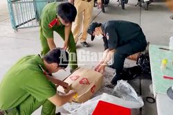 An Giang: Bắt xe tải chở gần 8 tấn thịt bò, thịt trâu đông lạnh, nghi vấn nhập lậu