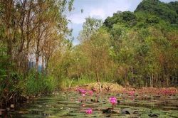 Chiến tranh đã hết thật