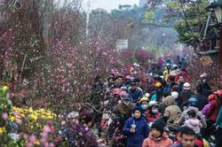 Dự báo thời tiết Tết Nguyên đán 2023: Nhiệt độ miền Bắc cao hơn trung bình nhiều năm