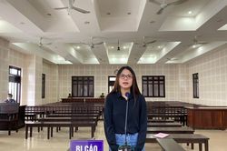 Lừa góp vốn thầu vé máy bay rồi chiếm đoạt hơn 3,3 tỷ đồng