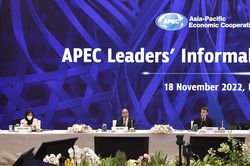 Hình ảnh hoạt động của Chủ tịch nước tại Hội nghị APEC lần thứ 29